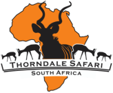 Thorndale Safaris