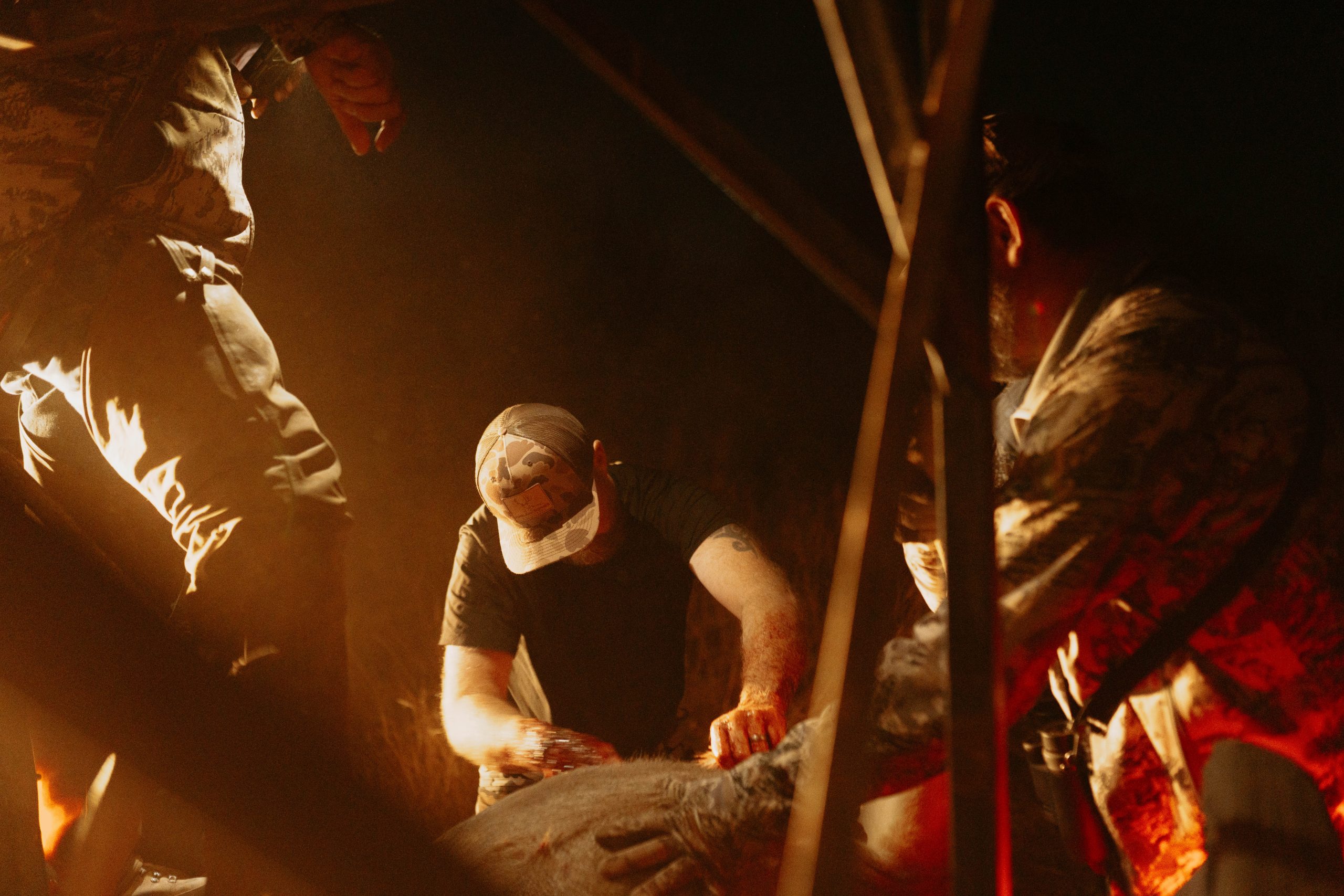 Professional hunting videography documenting mule deer field dressing at tailgate in golden hour light by Wildsmith team