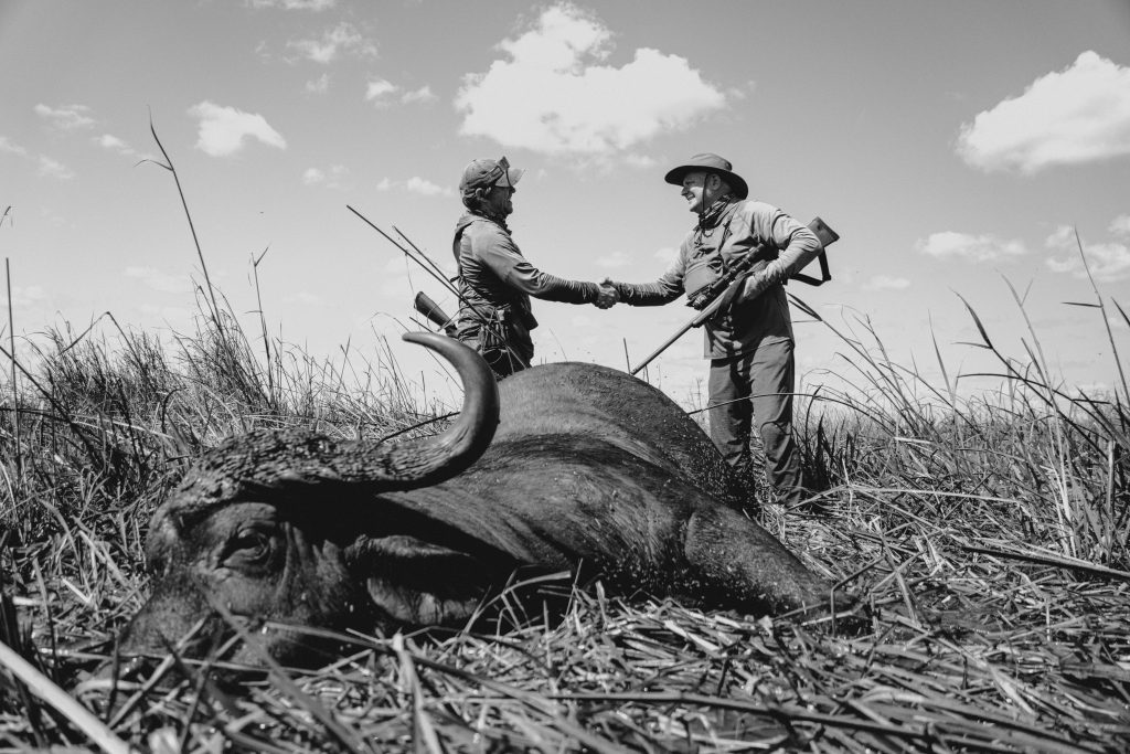 Black and white photo of hunter and professional hunting guide shaking hands over successful Cape buffalo hunt in African savanna