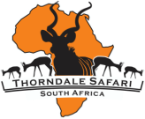 Thorndale Safari